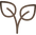 plantar_edited.png