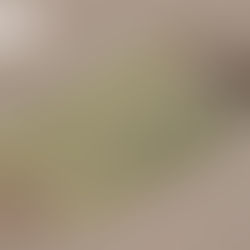 Top 5 Materials Useful for Electrical Insulator Manufacturing