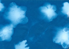 dittmerallison_5427_3420178_AllisonDittmer_SunPrint3_02_18_2022.jpeg