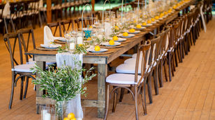 Mediterranes Table Setting für eine Hochzeit mit Zitronen und Olivenzweigen
