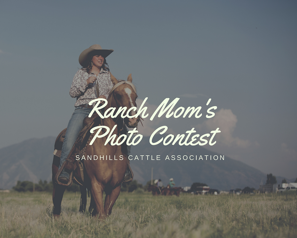 Ranch Mom's Photo Contest is Back Again!