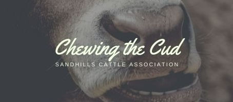 February 11, 2022 Chewing the Cud