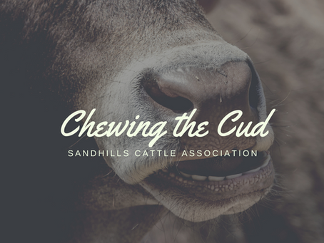 December 9, 2022 - Chewing the Cud