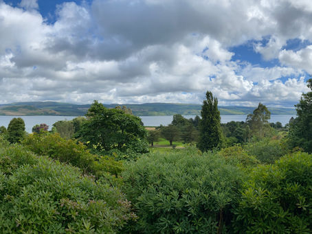 Minard and Kilmartin