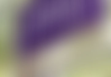 Update on sale prices