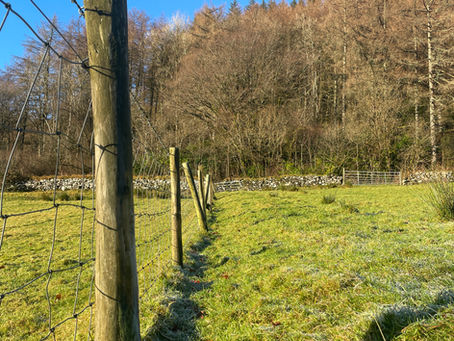 December in Glendaruel