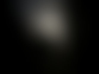 First guests at our new house