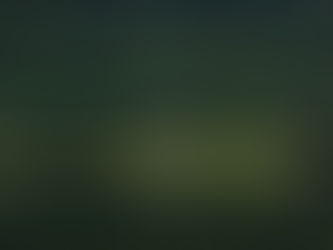 Welcome to North Star Tranquility