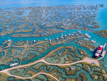 The FIRST House - and the first lesson