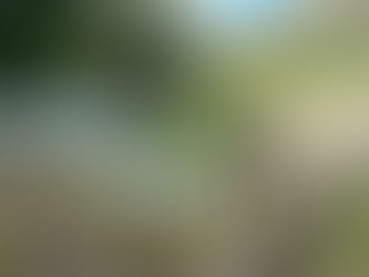 Updates - Clacheranmor meaning and St Modan's well mystery