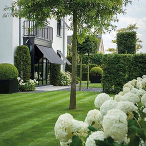 MARVELOUS MODEST MODERN