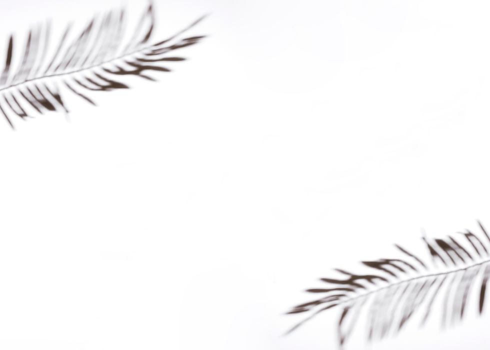 two-palm-leaves-white-background.jpg