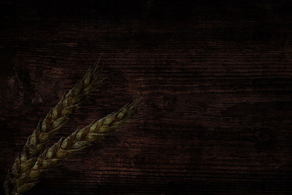 wood_background.jpg