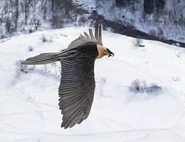 22012020-0N4A9385.jpg