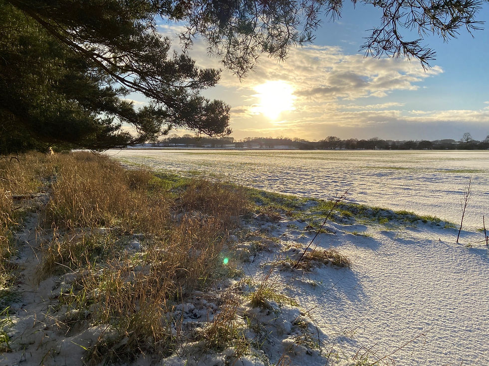 winter