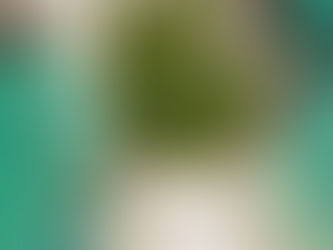 Angra dos Reis, Rio de Janeiro, Brasil