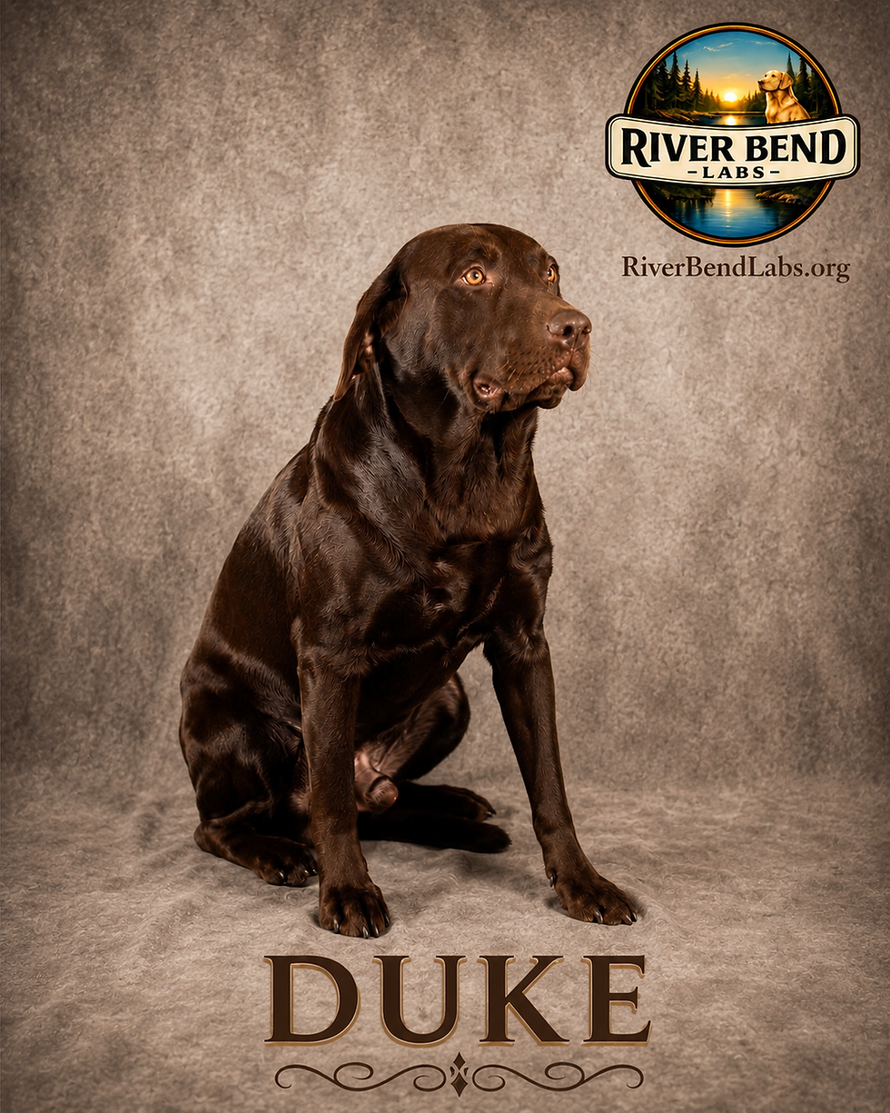 duke profile.png