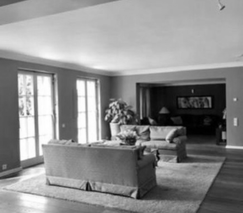 Wohnzimmer in Schwarz-Weiß mit zwei Sofas auf einem Teppich, Pflanzen im Hintergrund, große Fenster links. Ruhige Atmosphäre.