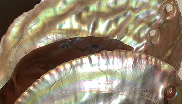 2095770_lS.jpg