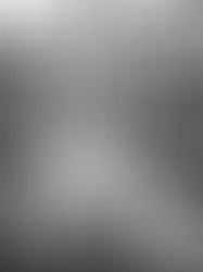 Chinese Immigration to the Garment Industry in New York City