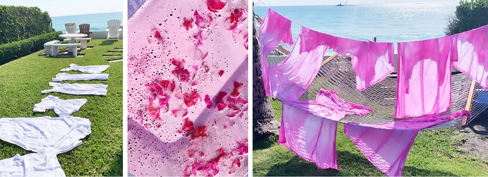 dying garments pink with Bougainvillea flowers