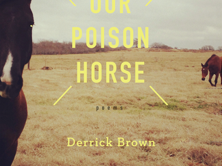 Our Poison Horse