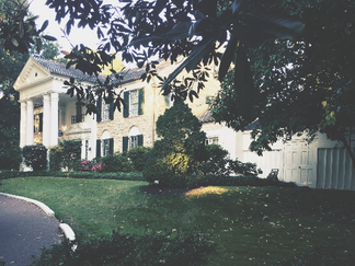 Finding Grace Land