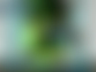 Stay Grounded and Balanced Parivrtta Trikonasana (Revolved Triangle)