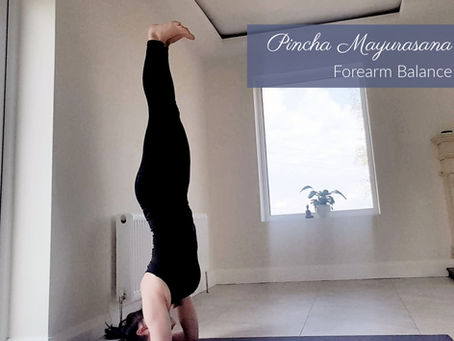 Pincha Mayurasana - Forearm Balance