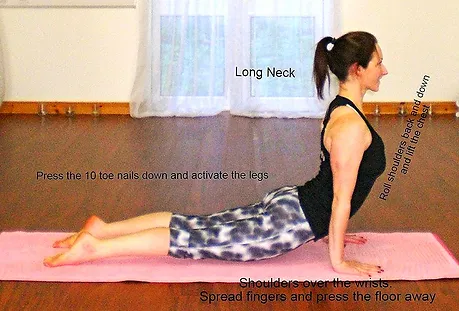 Upward Facing Dog Pose Of The Month