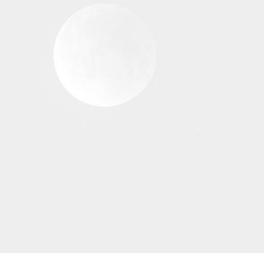 Moon_edited_edited.png