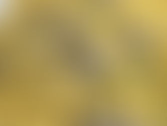 Spaghetti alle vongole