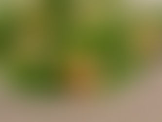 Capesante in cartoccio con burro vanigliato