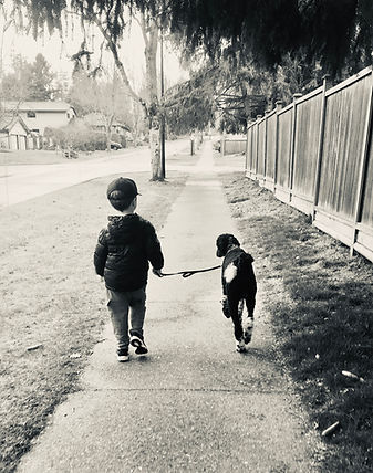 Poodle, Best Friends, a boy and his dog