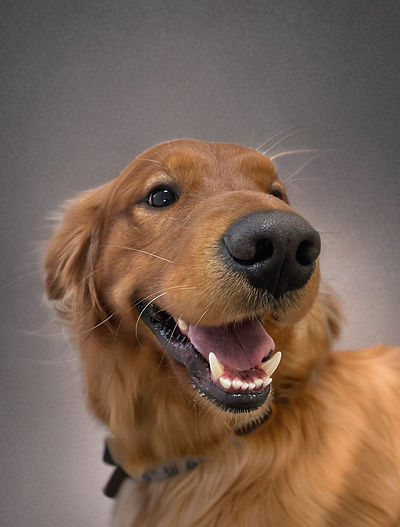 4BCCD16B-B154-47A3-A723-A5966FDAD0CB_edi