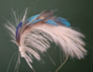 Feather Crown