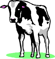 cow.gif
