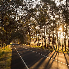 Goulburn country road