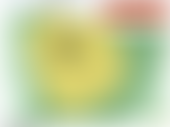 EVENING STORMS POSSIBLE