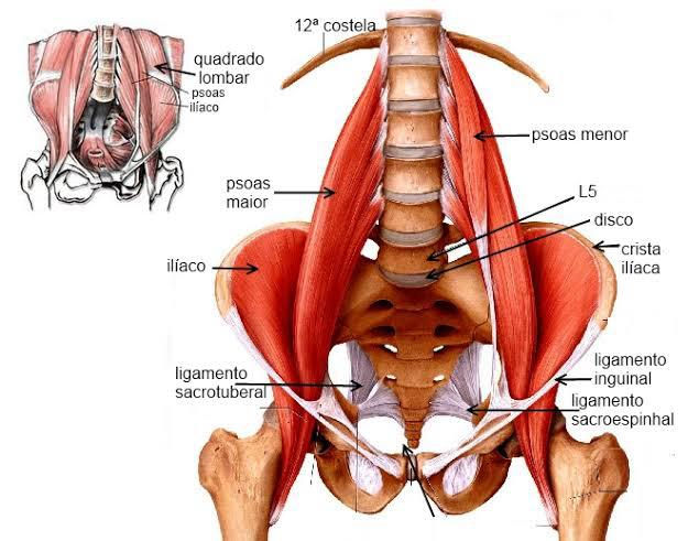 WhatsApp Image 2025-11-09 at 20.36.22 (1)