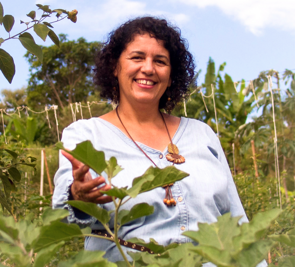 PRODUÇÃO DE HORTALIÇAS BIODINÂMICAS - Mód. I: CAMPO e CIDADE