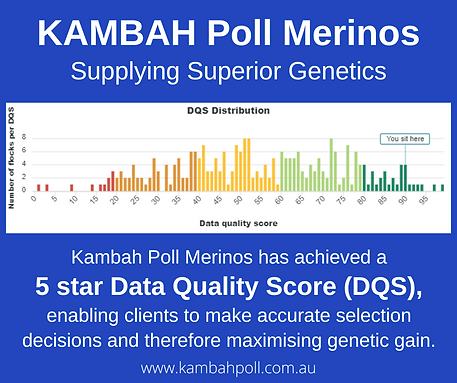 2022-Kambah-Poll-Data- Supplying Superior Genetics