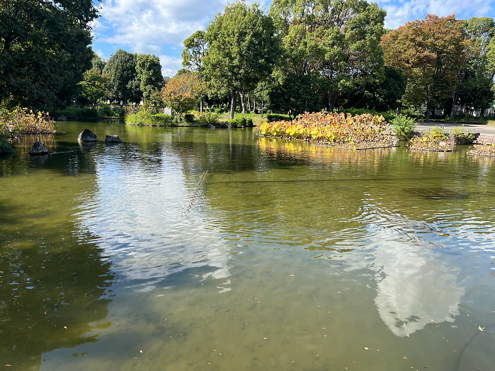 郷土の森公園