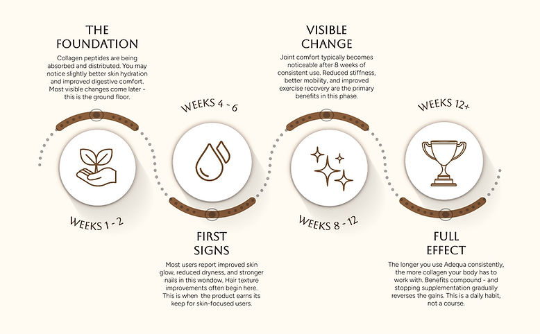 Adequa Nutrition | Premium Marine Collagen Supplement in India