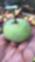 Foto%2026-10-19%2C%2012%2050%2047_edited.png
