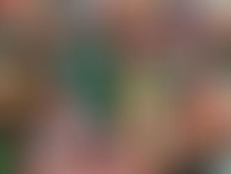 Irle a un Equipo o Partido