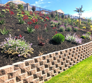 IMG_2041 (1)_edited_edited.jpg