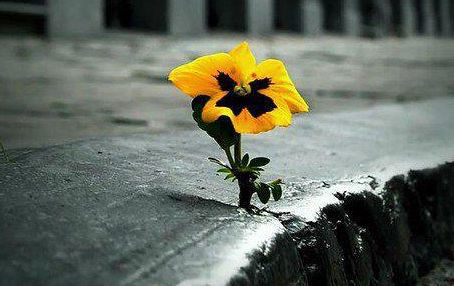 『モーセ3 : 忍耐が品性を生み出す』大倉 信 師