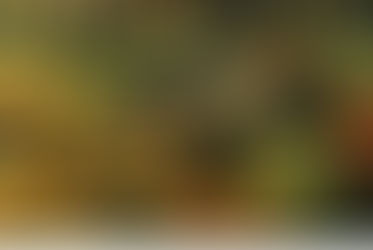 『ペテロ:キリストにあって失敗が益となる』大倉 信 師