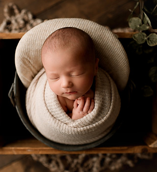 Woods (5)_edited.jpg